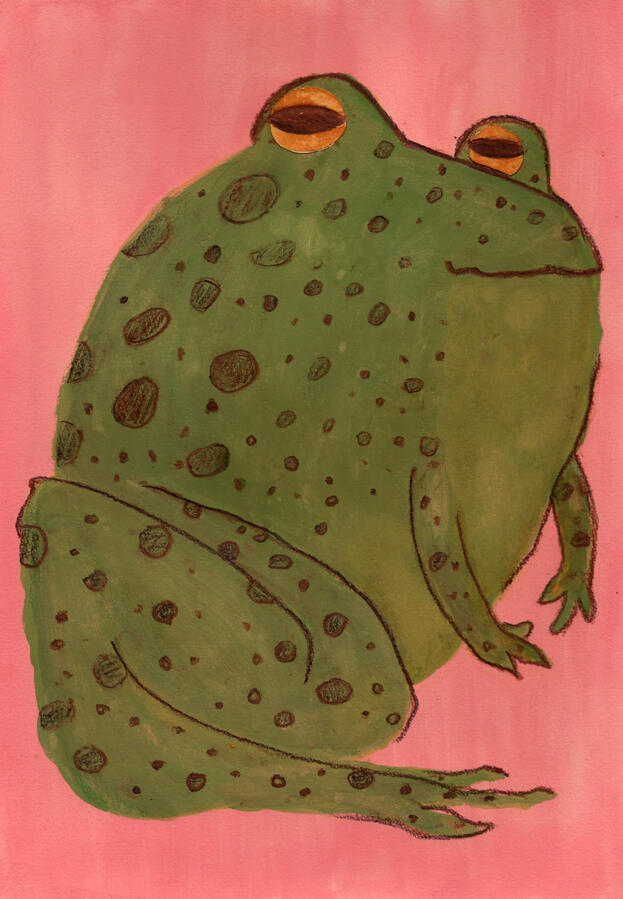 Frog, 2026 21x30cm Watercolour, gouache, coloured pencils, neocolor.